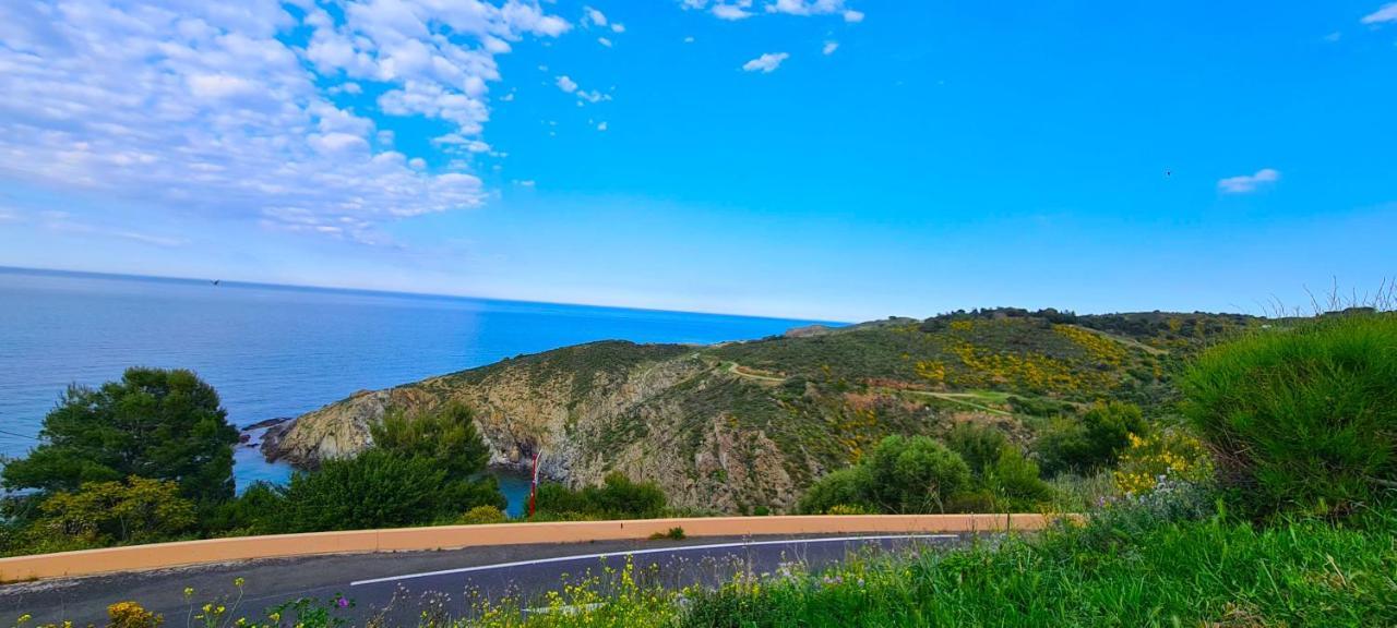Studio *** "Thalabanyuls" - Vue Mer - Balcon Екстериор снимка